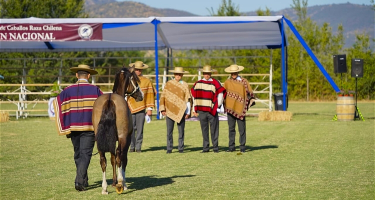 [VIDEOS] Revisa la jura de las Categorías y los Grandes Premios de la Expo Nacional