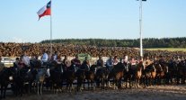 Asociación de Criadores de Malleco prepara un gran evento para la Final de Pruebas Funcionales Asociación de Criadores de Malleco prepara un gran evento para la Final de Pruebas Funcionales