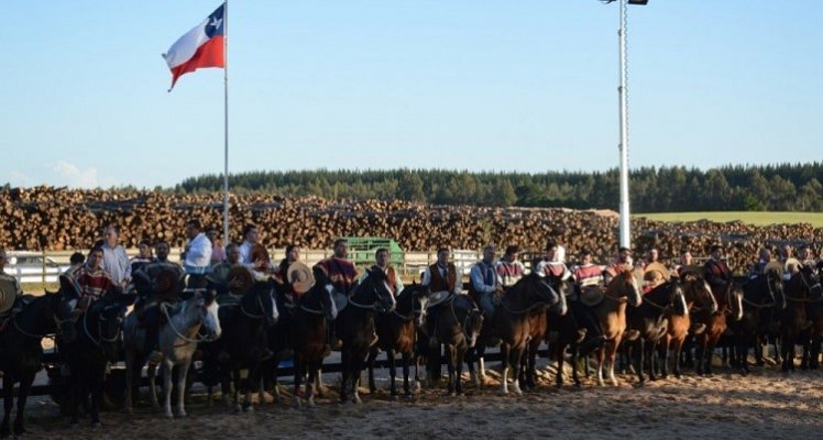 Asociación de Criadores de Malleco prepara un gran evento para la Final de Pruebas Funcionales