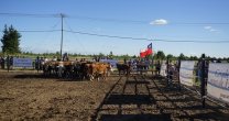Final de Pruebas Funcionales fue suspendida debido a la catástrofe generada por los incendios Final de Pruebas Funcionales fue suspendida debido a la catástrofe generada por los incendios