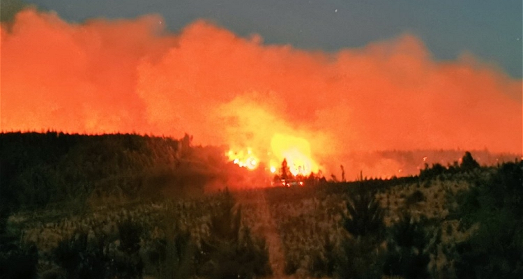 Néstor Ruiz por incendios: Necesitamos la ayuda de toda la gente