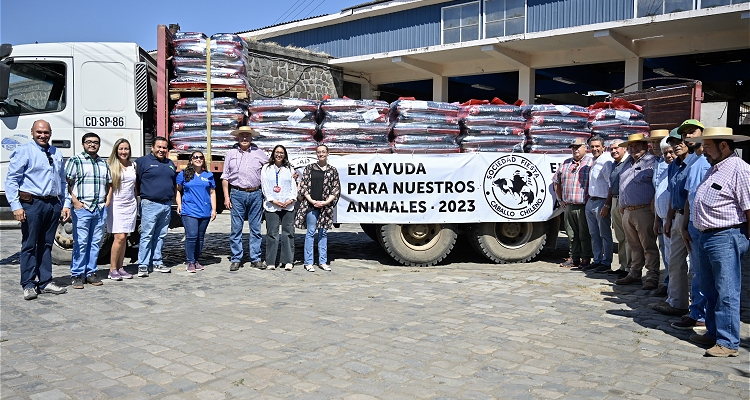 Sociedad Fiesta El Caballo Chileno donó más importante suma en alimentos para perros y gatos a través de Colmevet