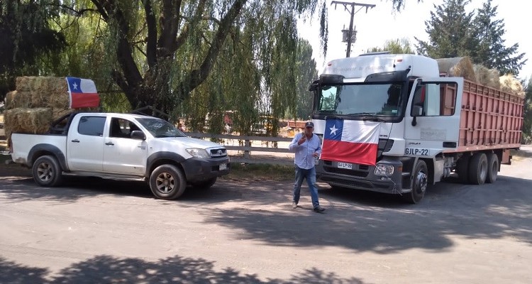 Criadores de Concepción y Club Talcahuano repartieron bolos y fardos en Yumbel Estación