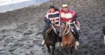 Brito y Zúñiga ganaron el Provincial del Club Arauco y dejaron adelanta la tarea en sus yeguas Brito y Zúñiga ganaron el Provincial del Club Arauco y dejaron adelanta la tarea en sus yeguas