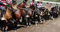 Jinetes talquinos van ilusionados al Clasificatorio de Pelarco y esperan mucha competitividad Jinetes talquinos van ilusionados al Clasificatorio de Pelarco y esperan mucha competitividad