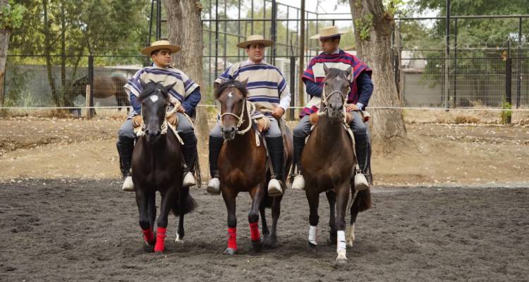 En la Medialuna de Pelarco se vive la fiesta corralera del Clasificatorio Centro