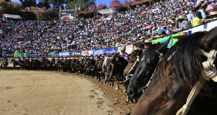 La próxima semana se liberará la venta general de entradas al Champion de Chile