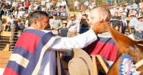 Palmas de Peñaflor ganó con excelencia, calidad y récord el Clasificatorio Norte de El Convento Palmas de Peñaflor ganó con excelencia, calidad y récord el Clasificatorio Norte de El Convento