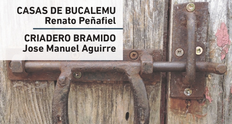 Criaderos El Bramido y Casas de Bucalemu salen a remate este jueves