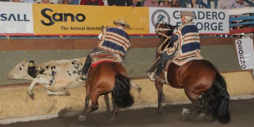 Imagen foto_00000008