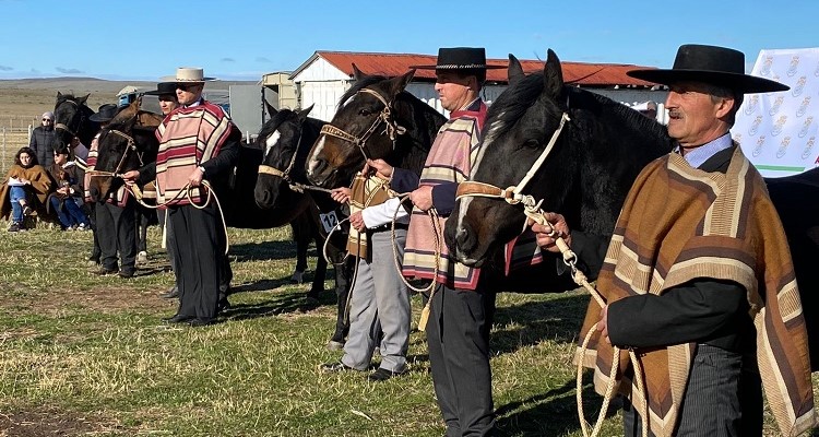 Añiñao y Morena Ingrata fueron coronados como los mejores de la Expo Magallanes en Río Verde