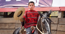 Germán Vera, campeón de la Rienda Menores en Melipilla: El Tañío se portó bien, nunca habría imaginado esto