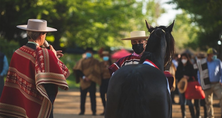 Seis ganadores de la Expo Nacional darán vida a la Muestra de Grandes Campeones en Rancagua