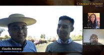 Conocimos de Cueca Huasa, Oficios Patrimoniales y Caballitos de Palo en CaballoyRodeo en Vivo