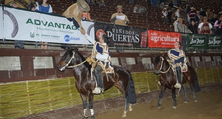 Santiago Sur lideró las asociaciones con más colleras en la Final del Champion de Chile