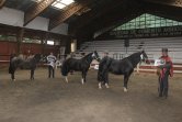 Los Grandes Premios de la Expo Otoño Cautín 2023