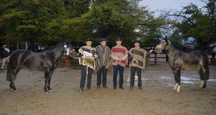 Solemne y Tanda fueron los Grandes Campeones en la Final de Exposiciones de Ferocam