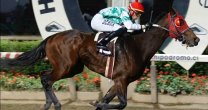 El clásico Federación del Rodeo Chileno acaparó miradas en el Hipódromo Chile