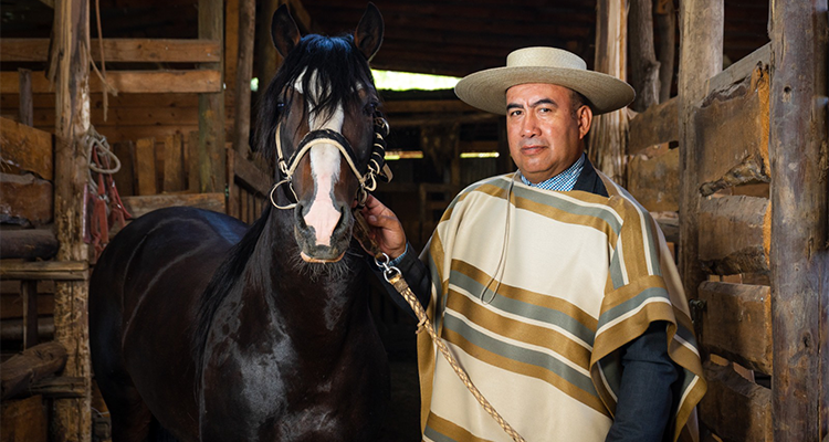 Juan Vásquez: El portal CaballoyRodeo es la plataforma top del mundo huaso