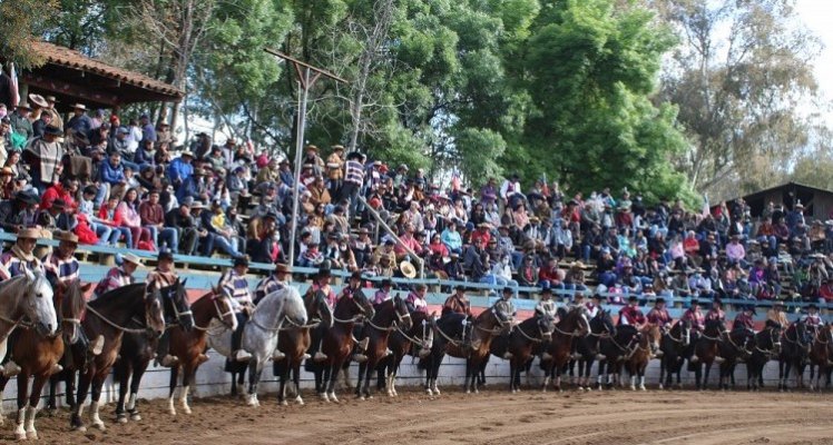 Con artesanía y muestra de vinos, Cauquenes espera a las visitas en su Rodeo Para Criadores