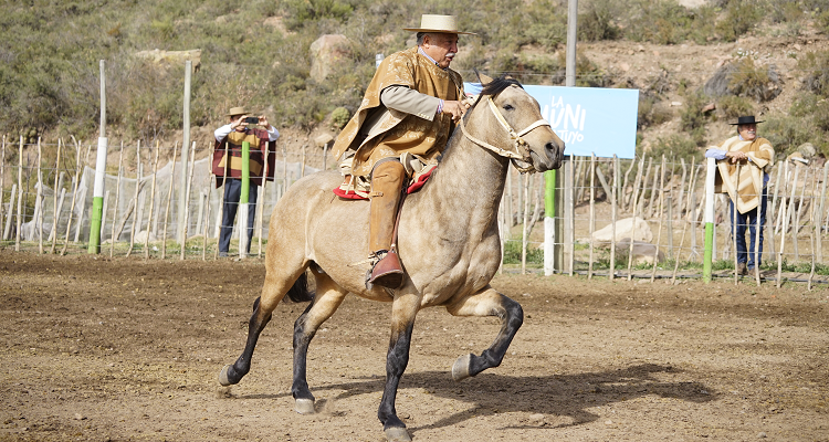 Arturo Ríos tras Aparta de Ganado en Tunuyán: 