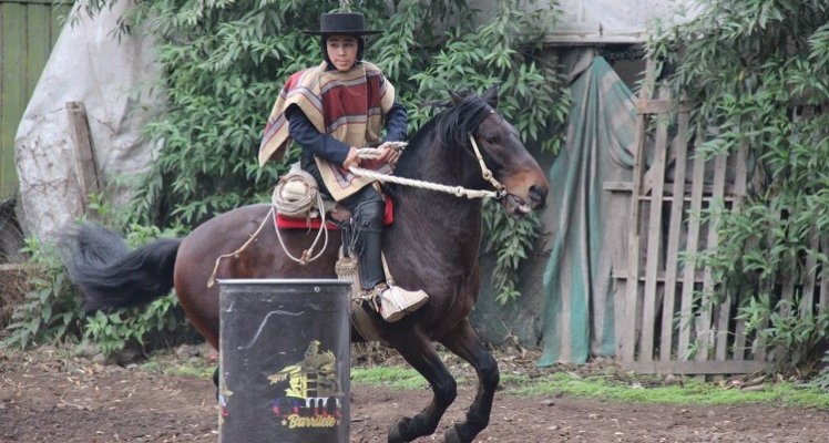 Chile Barrilete disfrutó de una nueva competencia en gran jornada de las tradiciones en Talagante