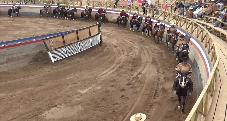 Asociación Petorca pondrá punto final a su Temporada Chica con rodeo Provincial en Medialuna de Pullally