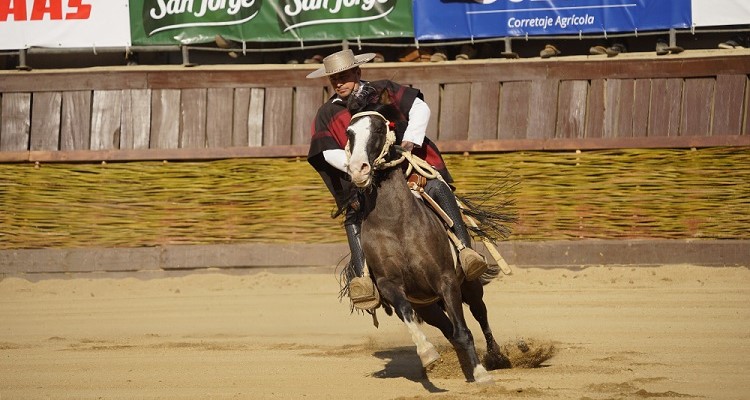 Asociación de Criadores de Arauco programó Taller de Rienda con el actual Campeón de Chile