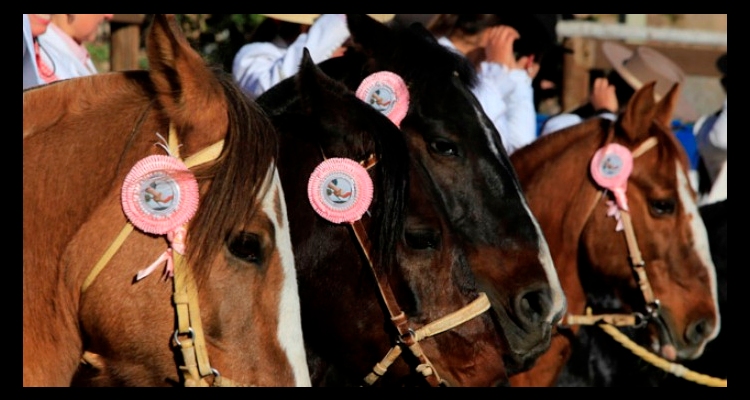 La XI Final de Rodeos Promocionales Femeninos lleva la emoción corralera a Isla de Maipo