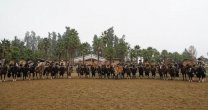Rodeo Familiar encantó a organizadores y participantes en el Criadero Santa Ana de Melipilla Rodeo Familiar encantó a organizadores y participantes en el Criadero Santa Ana de Melipilla