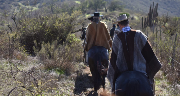 Criadores de Casablanca disfrutaron una gran jornada en Cabalgata Familiar