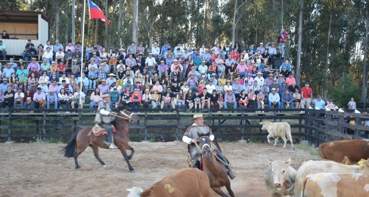 Federación de Criadores invita a inscribirse en las Pruebas Funcionales