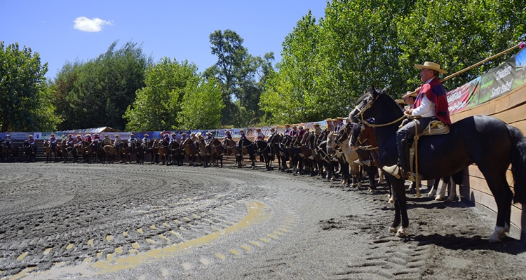 Informativo sobre la fecha de la Final de Rodeos Para Criadores de 2024