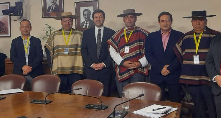 Artesano Patricio Leiva en el Congreso: