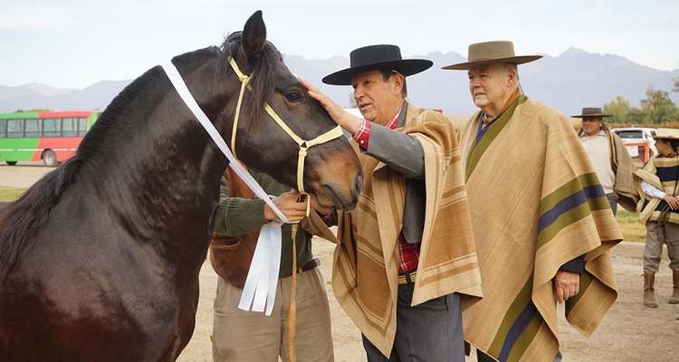 Criadores de Cauquenes programaron Día de Campo con interesante Taller de Morfología