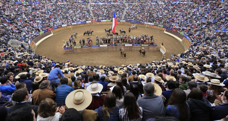 ¡Superamos las 10 mil firmas! El mundo del Rodeo agradece masiva adhesión y sigamos sumando apoyos