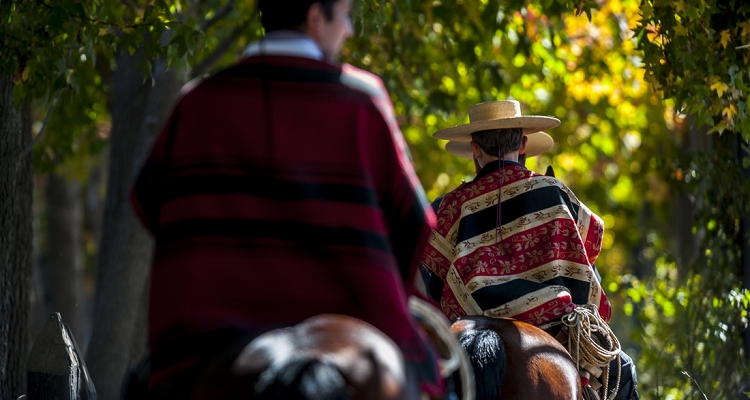 Sigamos sumando apoyos: Firma por la iniciativa constitucional por identidad de ser chileno