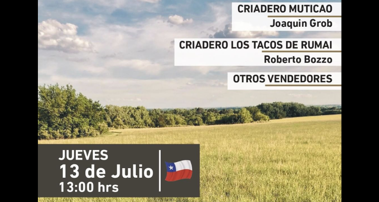 Los Tacos de Rumai y Muticao salen a remate este jueves