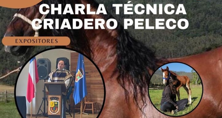 Criadero Peleco dictará charla para ramas de rodeo universitario en Contulmo