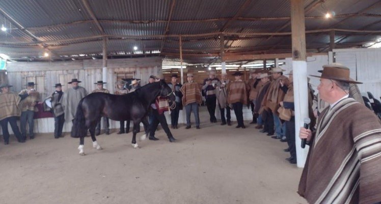 Asociación Paine de Fenaro disfrutó de conversatorio sobre el Caballo Chileno con Francisco Rojas