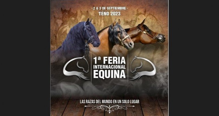 Canal del Caballo está organizando una enorme fiesta en la 1ª Feria Internacional Equina