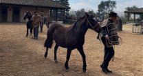 Criadores de Casablanca disfrutaron Día de Campo en Palmas de Peñaflor