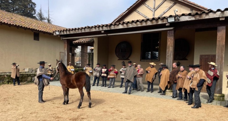 Criadores de Casablanca disfrutaron de fructífera visita a Palmas de Peñaflor