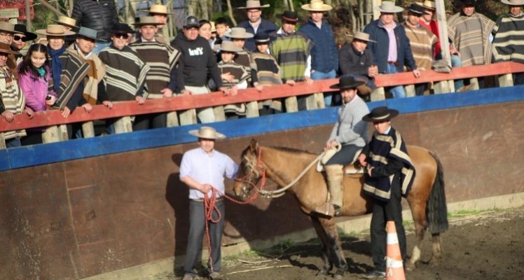 Taller de Rienda y Rodeo con Luis Gerardo Soto dejó encantados a los Criadores de Arauco