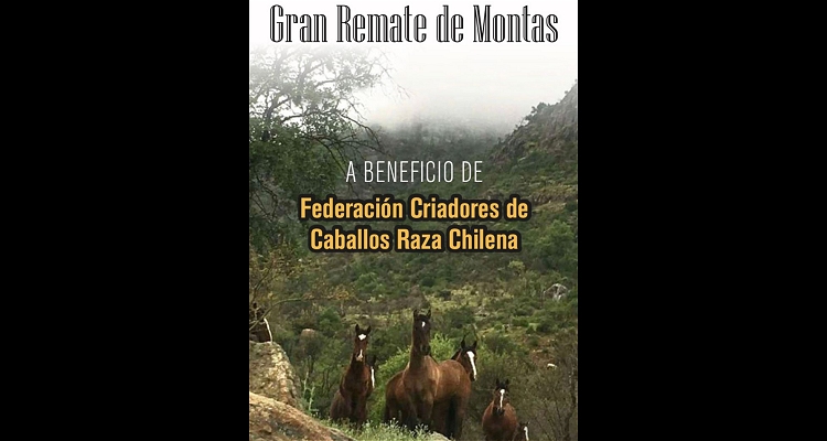 Son 30 destacados potros: Queda una semana del Remate de Montas de la Federación de Criadores