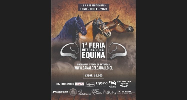 Canal del Caballo avanza a paso firme en la organización de la Feria Internacional Equina