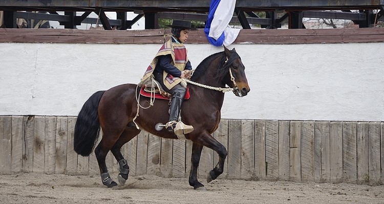 Jorge Muñoz, Bicampeón Nacional Escolar de Rienda: Estamos felices por todo el sacrificio