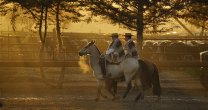 Comunicado de la Confederación del Rodeo sobre aprobación en el Consejo Constitucional de nuestra iniciativa popular Comunicado de la Confederación del Rodeo sobre aprobación en el Consejo Constitucional de nuestra iniciativa popular
