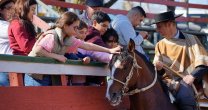 Un taller sobre rodeo, el caballo chileno y la cultura huasa realizó Palmas de Peñaflor