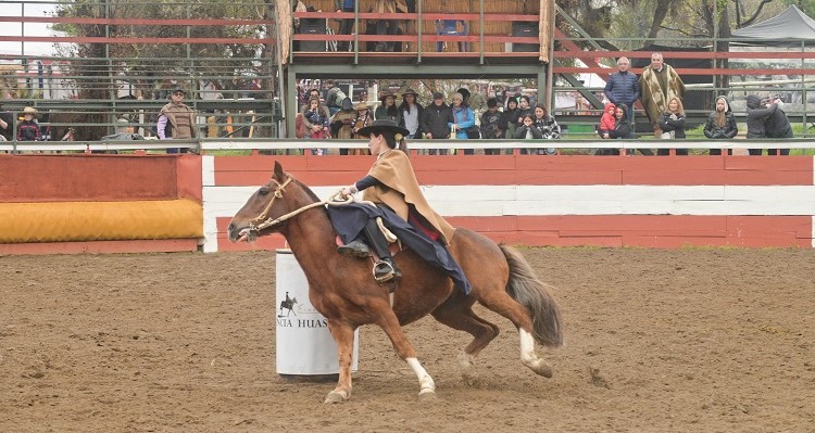 Chile Barrilete mostró su disciplina con competencia oficial en la XXVI Semana de la Chilenidad